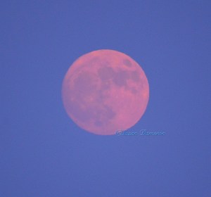 14991238_10202349532296924_7298097095884911262_o