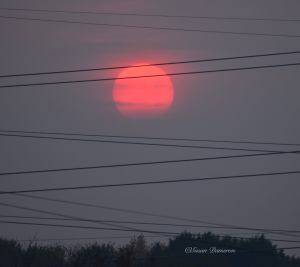 15016226_10202349530536880_5071979611589994034_o